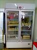 VITRINE FROID POSITIF DOUBLE PORTE.